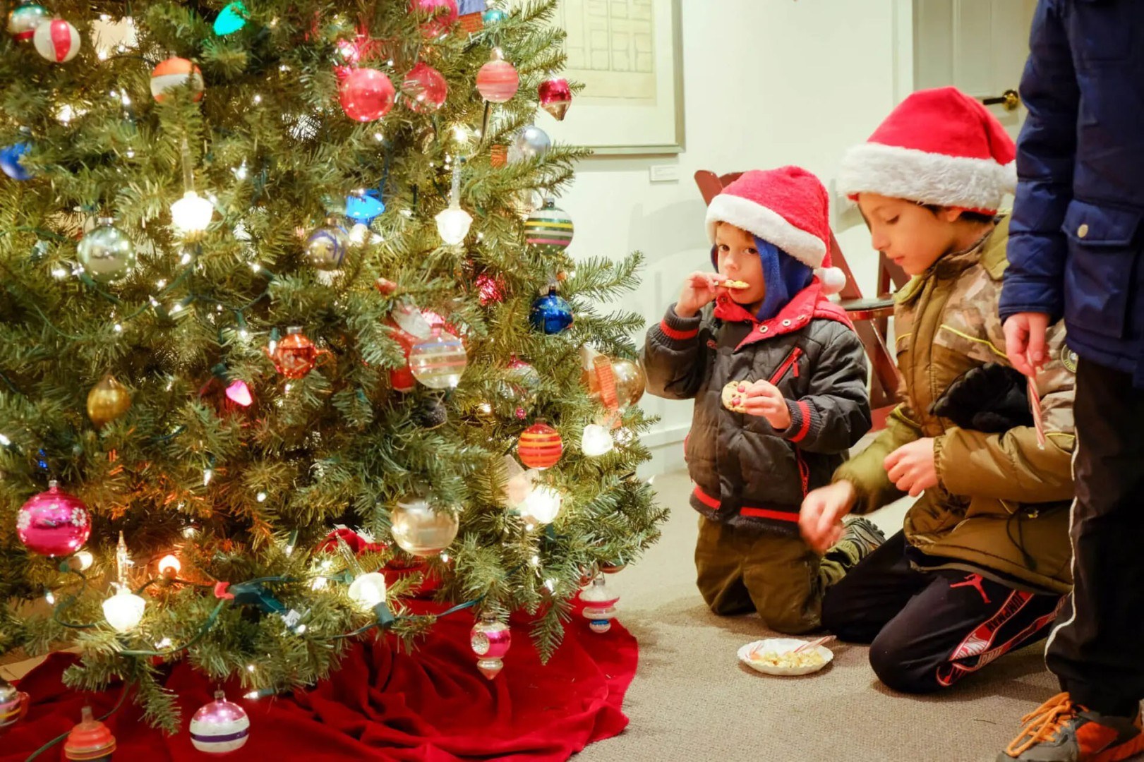 Trees of Historic Bethlehem